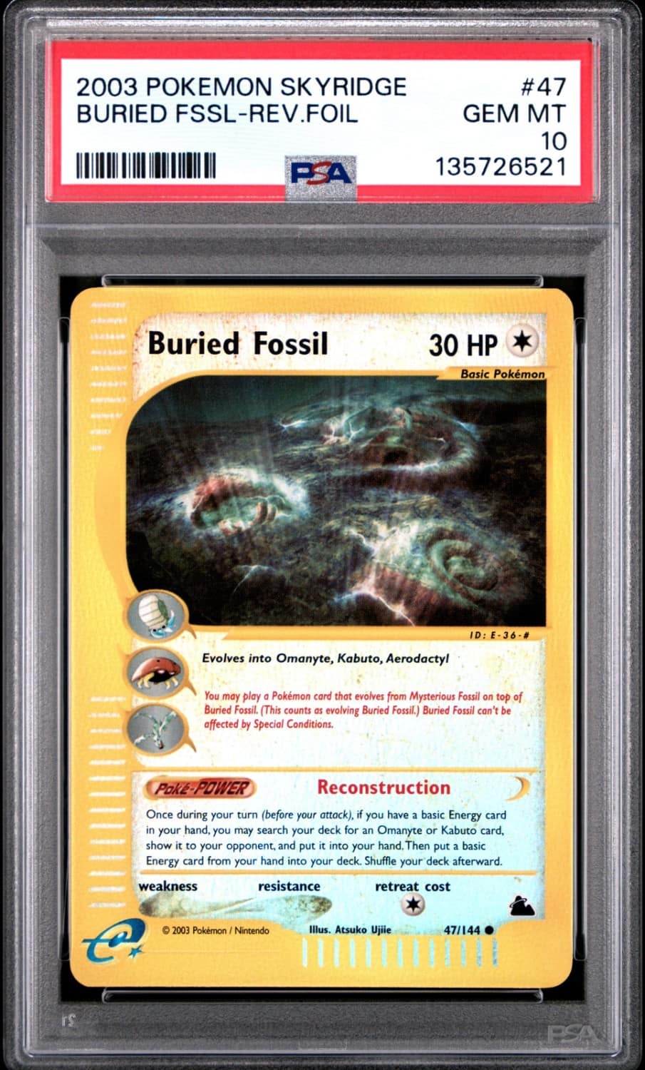 Buried Fossil