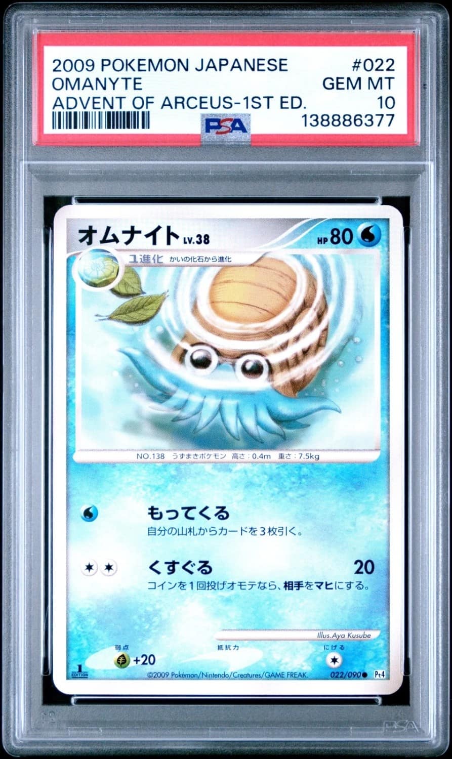 Omanyte