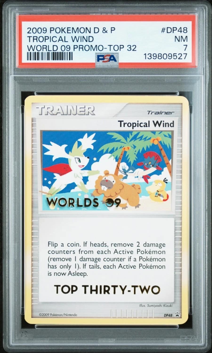 Tropical Wind