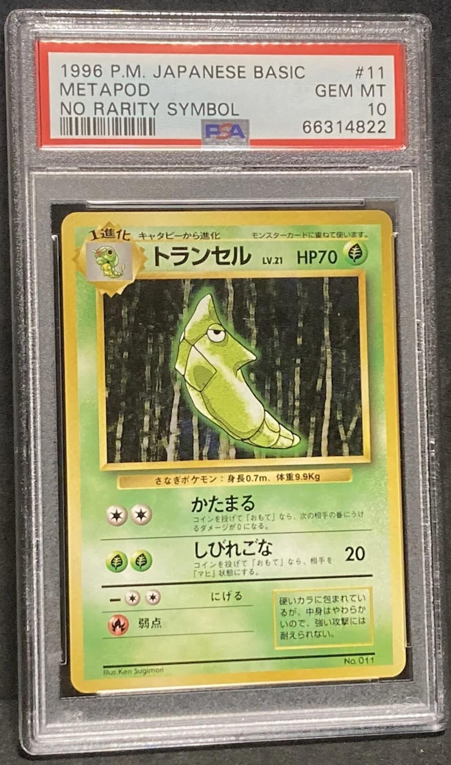 Metapod