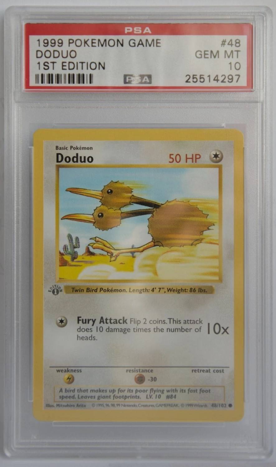 Doduo