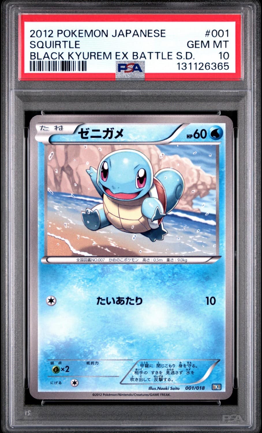 Squirtle
