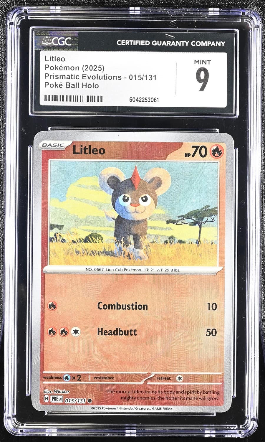 Litleo