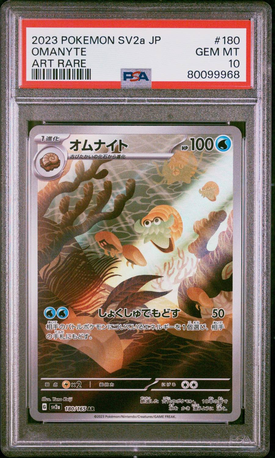 Omanyte