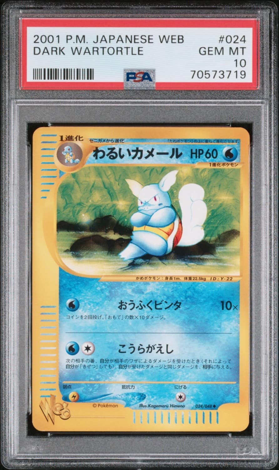 Dark Wartortle