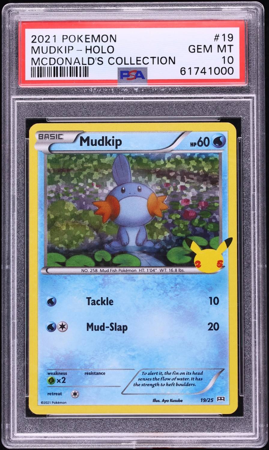 Mudkip