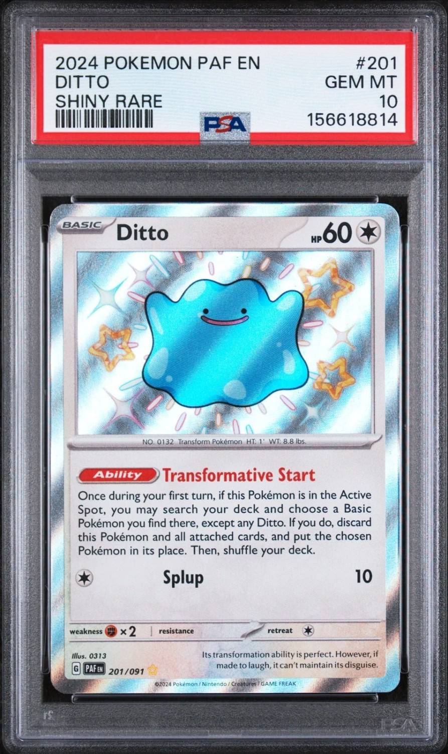 Ditto