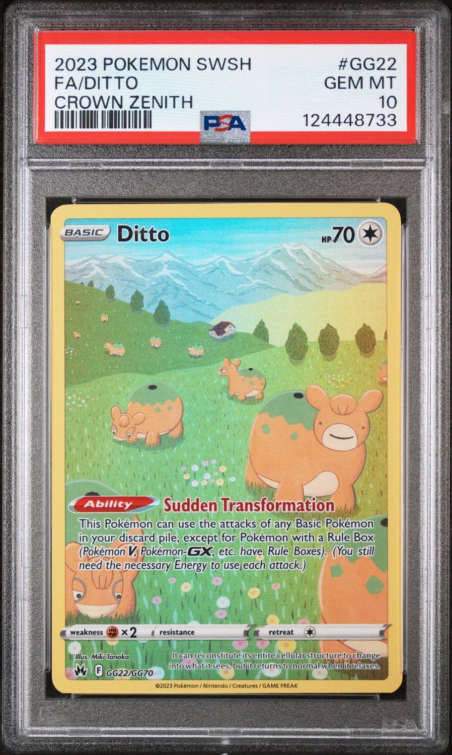 Ditto
