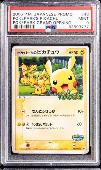 Pokepark'S Pikachu