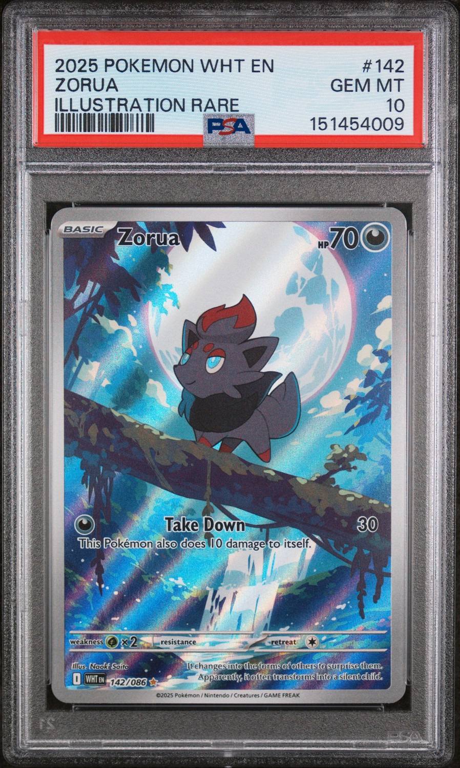 Zorua