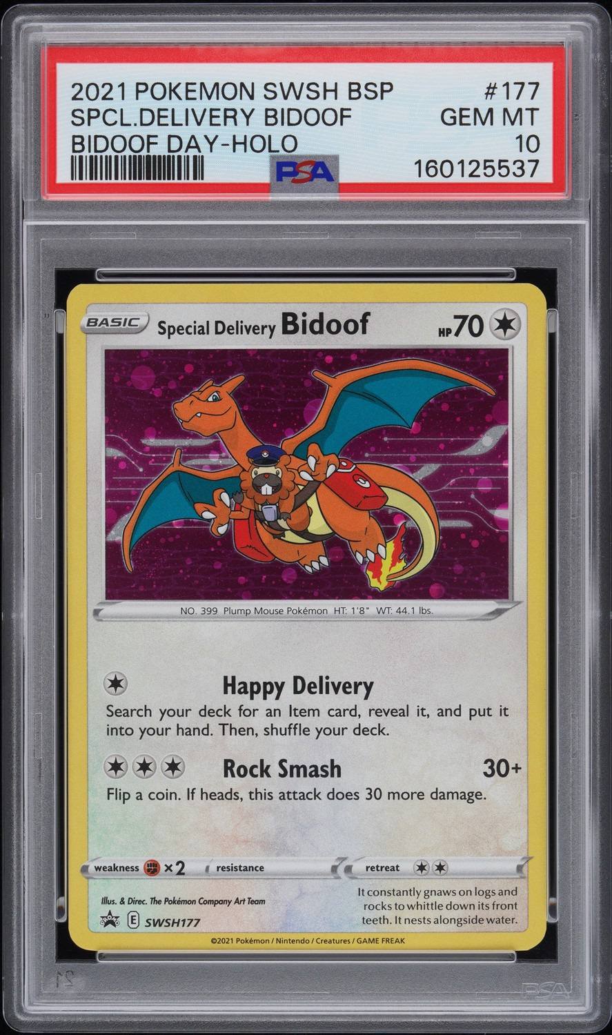 Special Delivery Bidoof