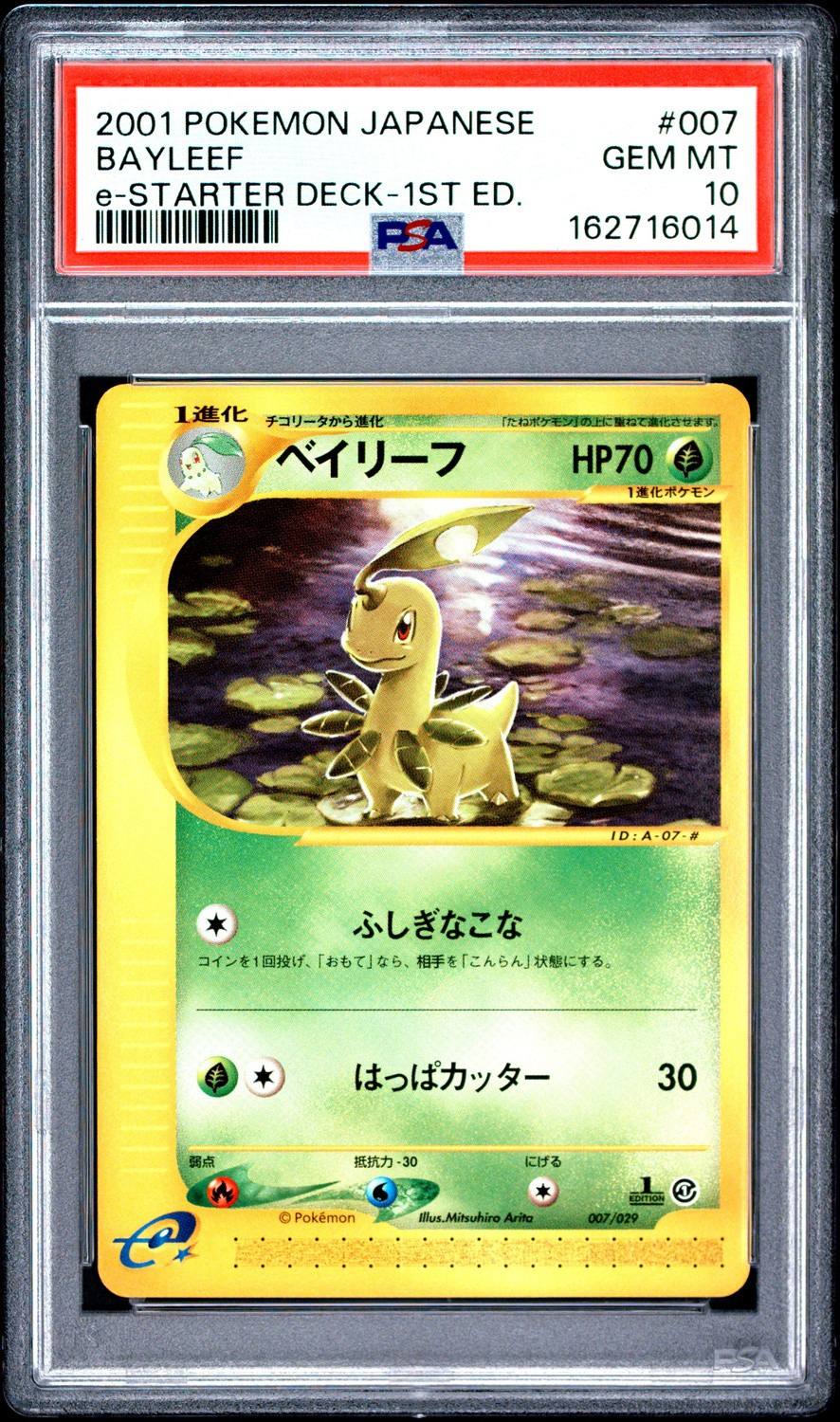 Bayleef