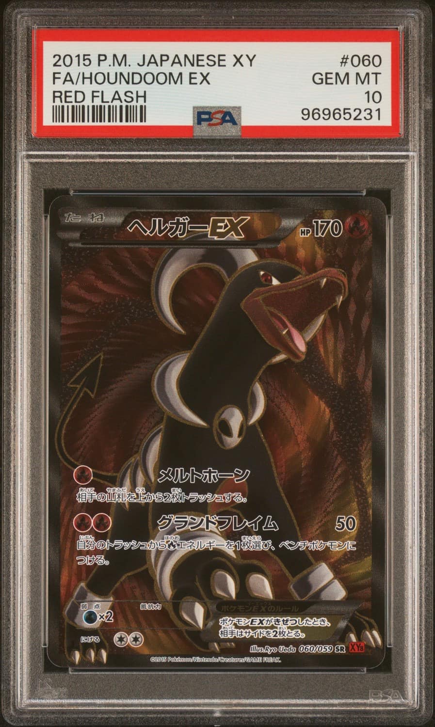 Fa/houndoom Ex