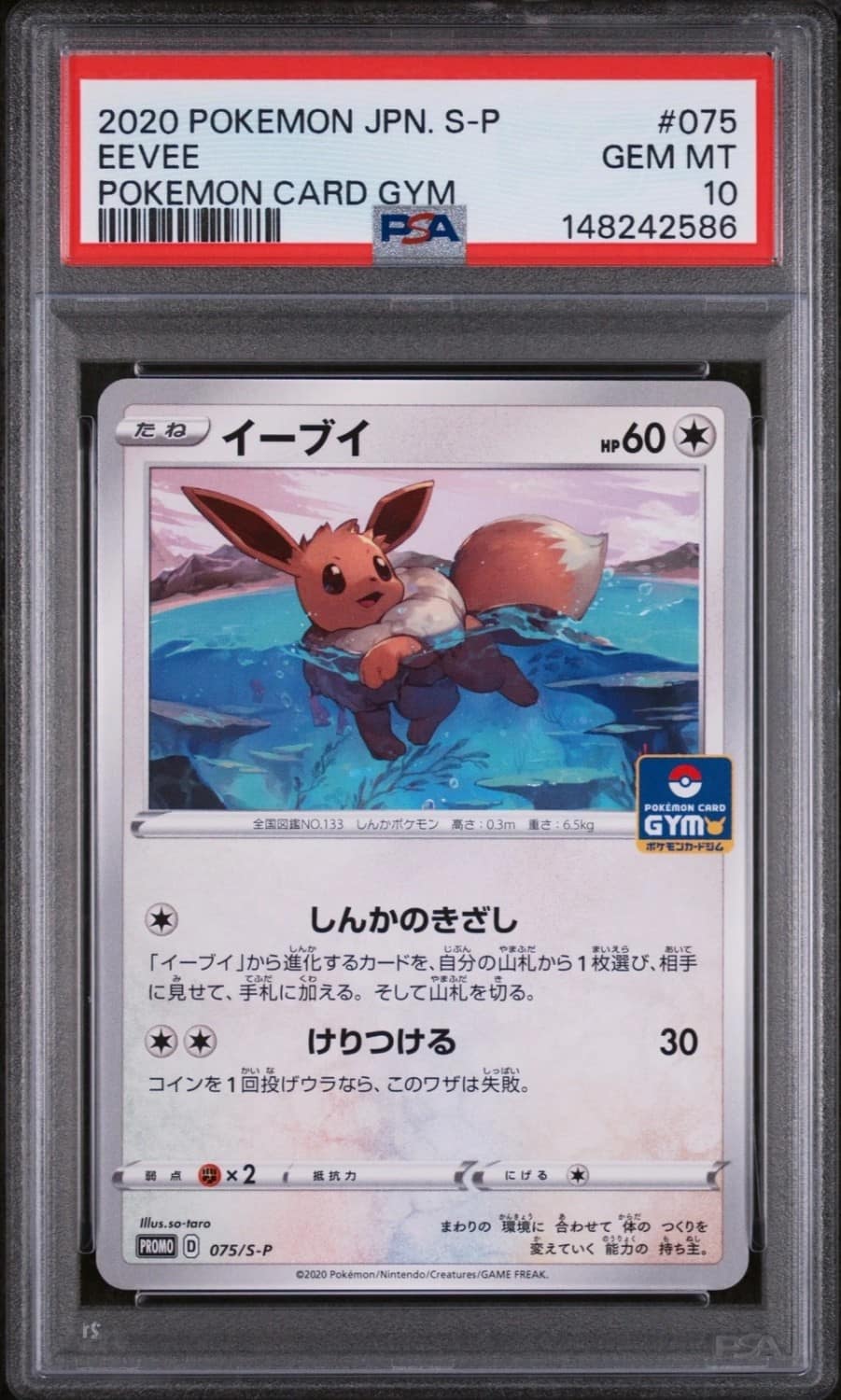 Eevee