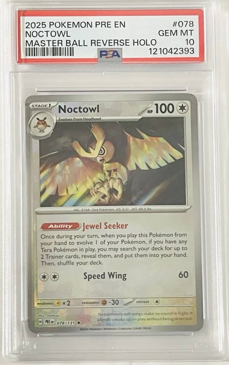 Noctowl