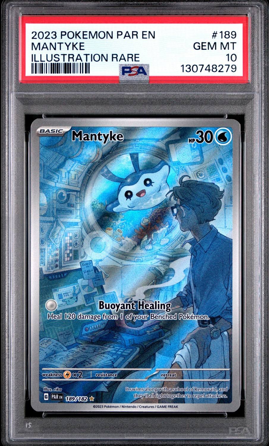 Mantyke