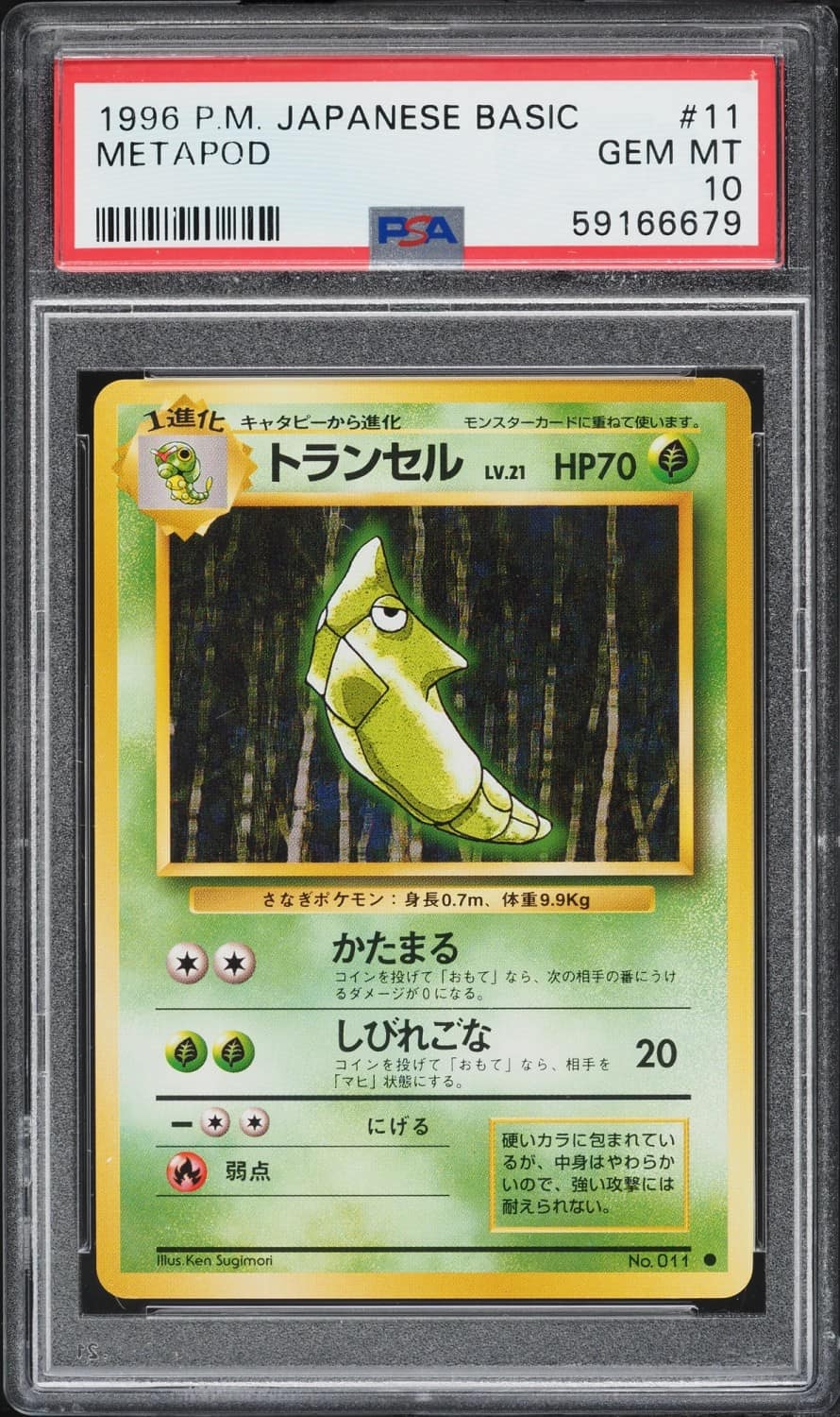 Metapod