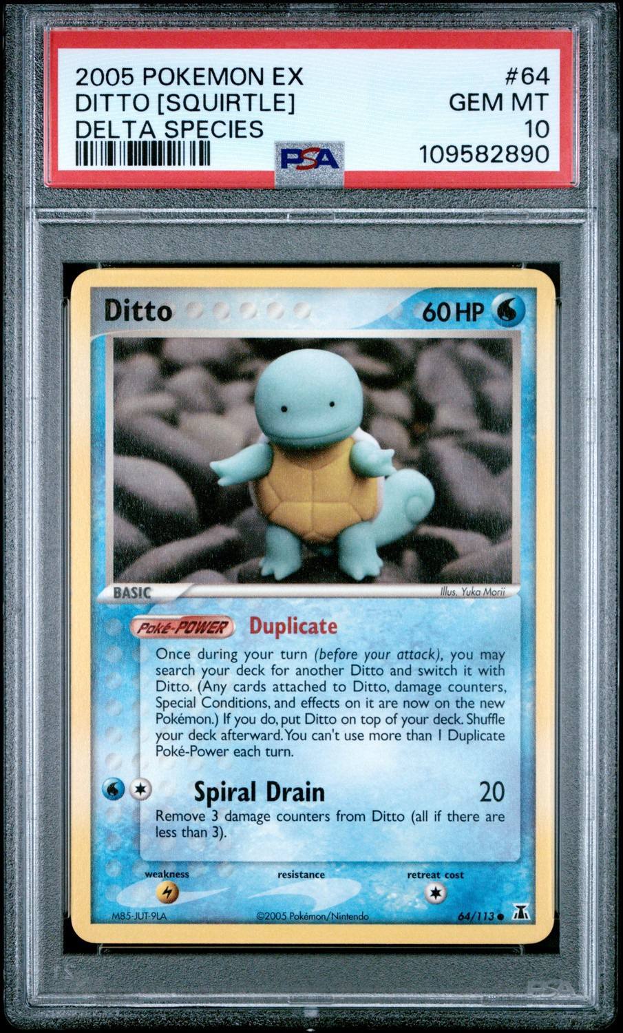 Ditto [squirtle]