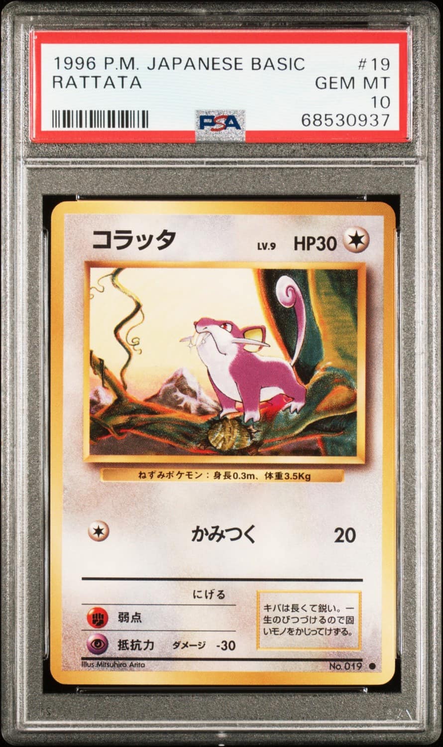 Rattata