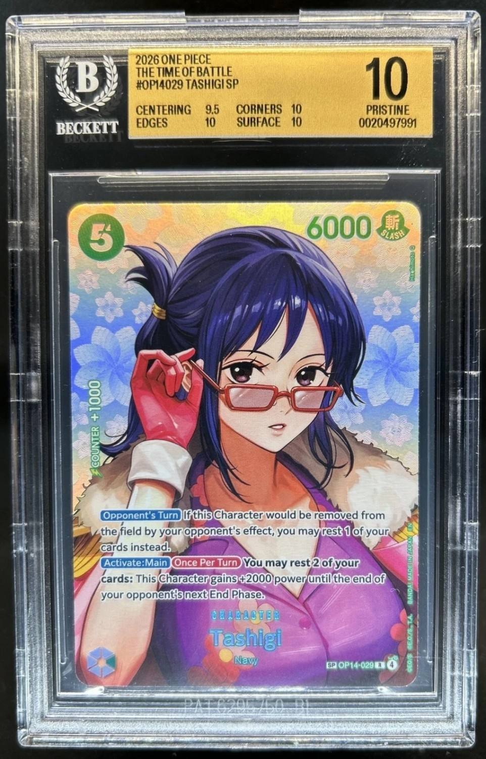 Tashigi Sp