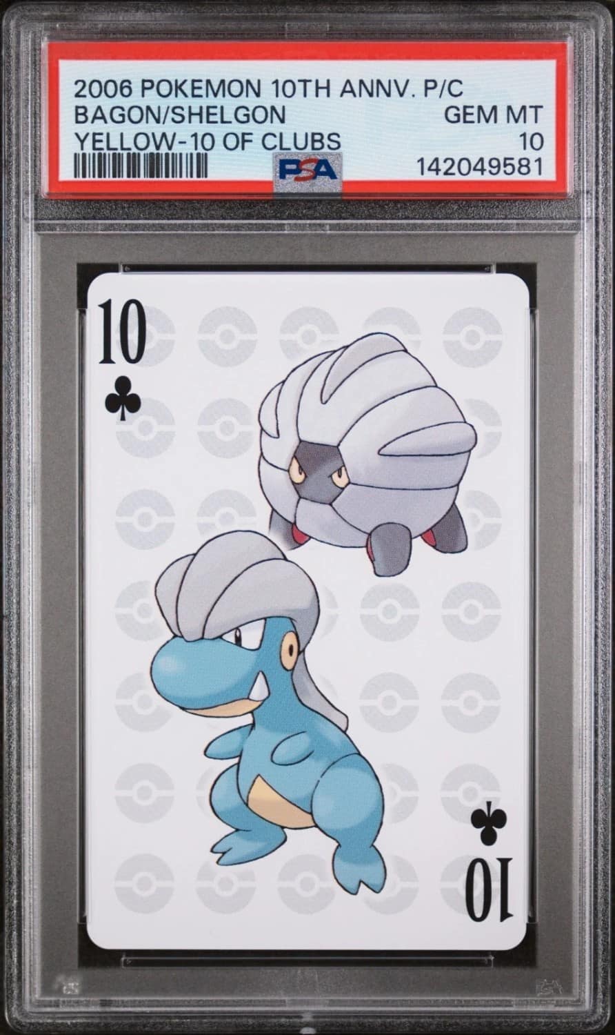 Bagon/shelgon