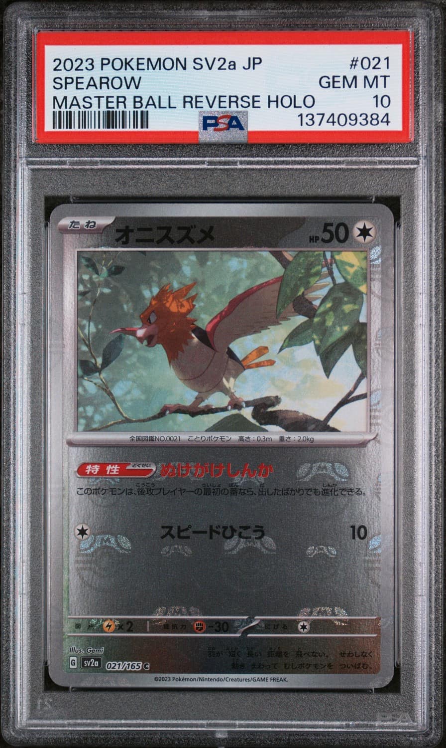 Spearow