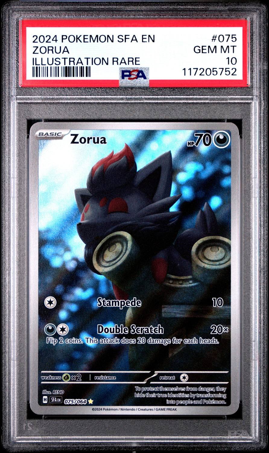 Zorua