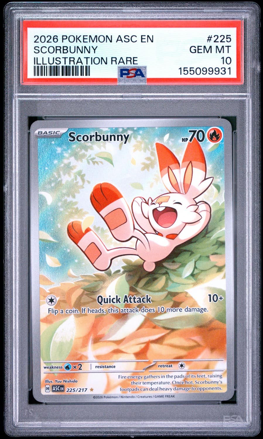 Scorbunny