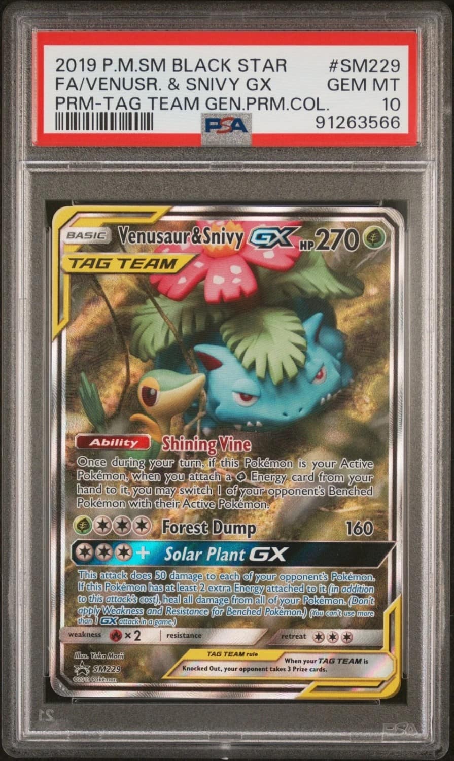 Venusaur & Snivy Gx