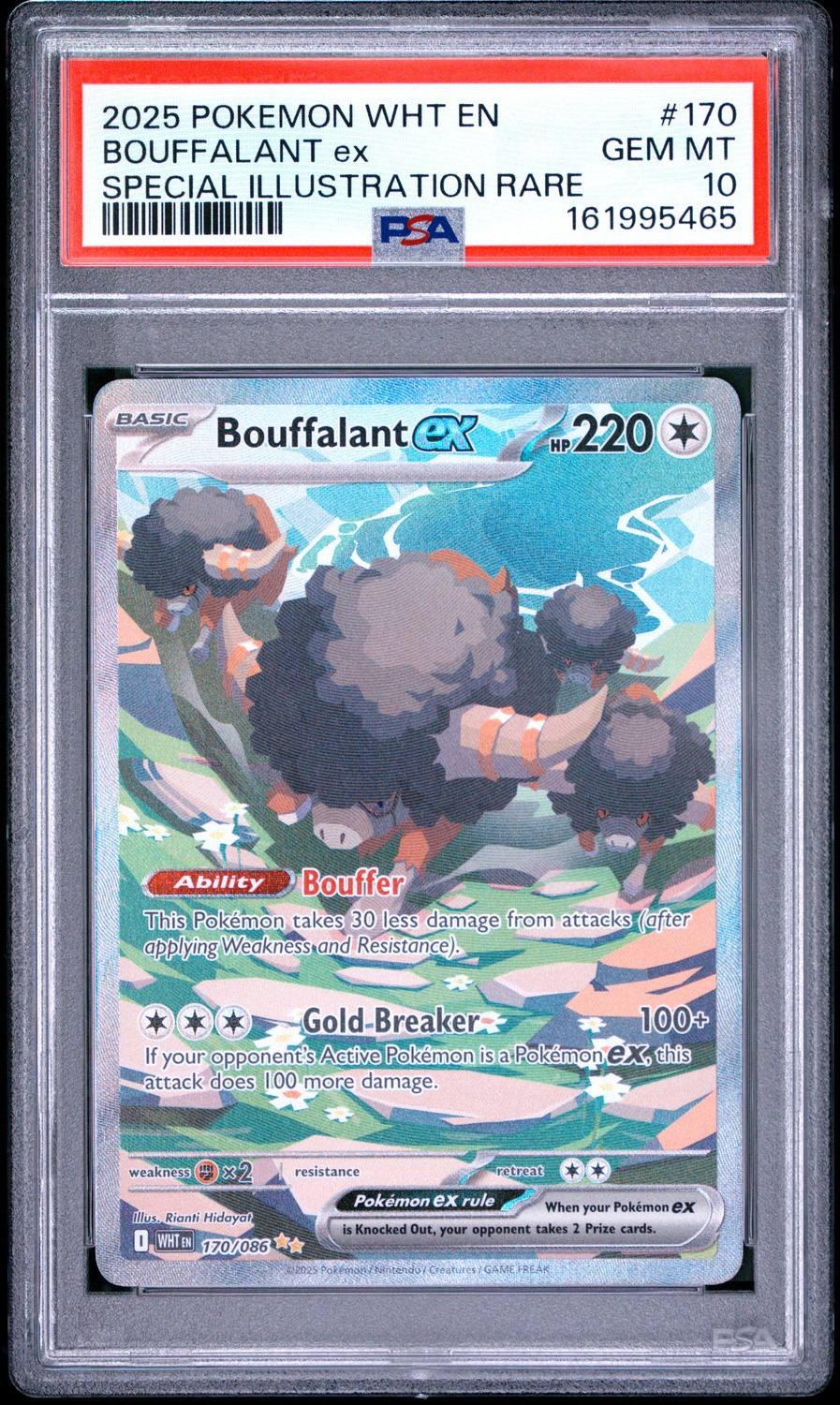 Bouffalant Ex