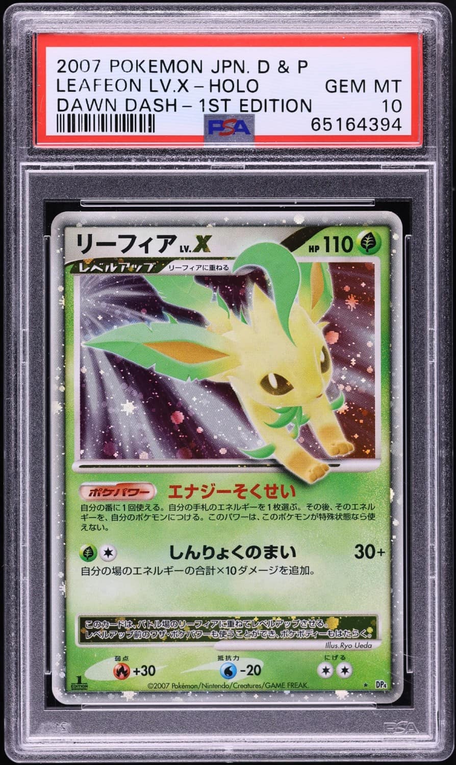Leafeon Lv X