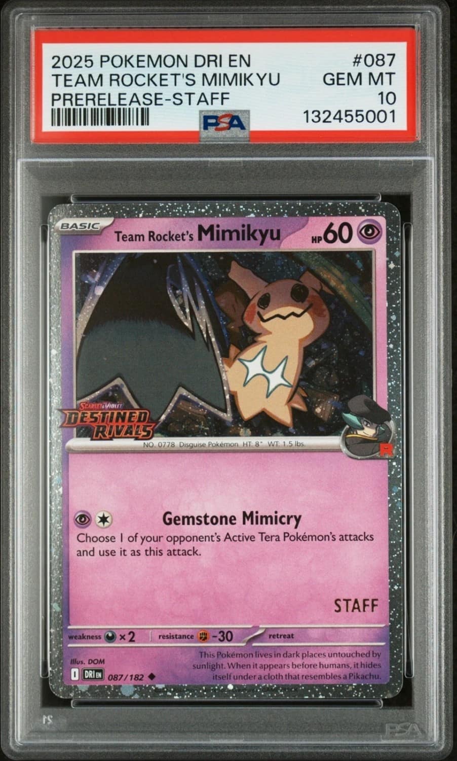Team Rocket'S Mimikyu