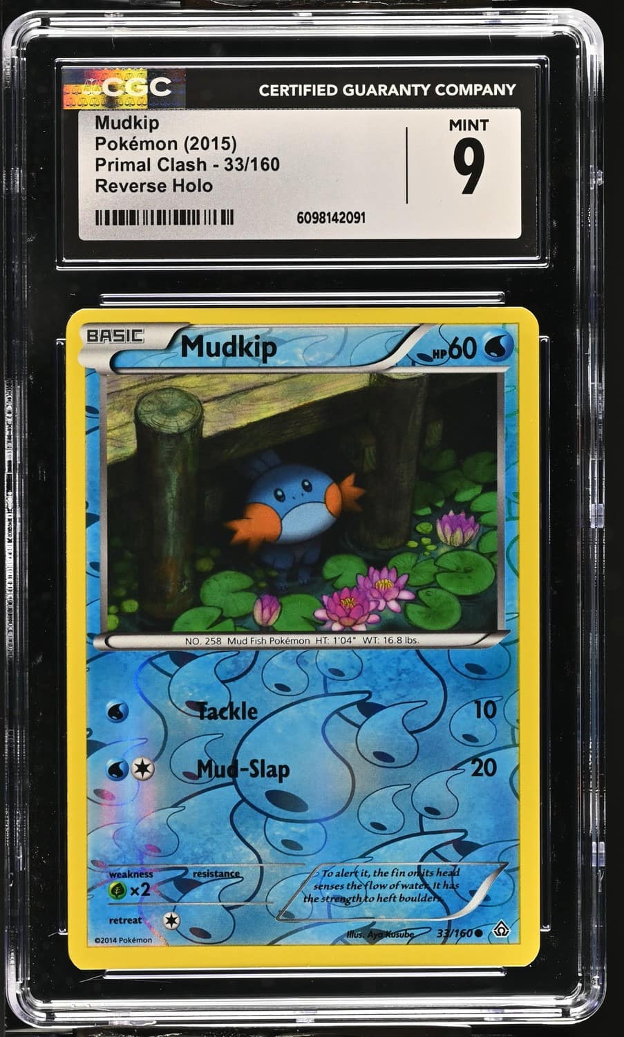 Mudkip
