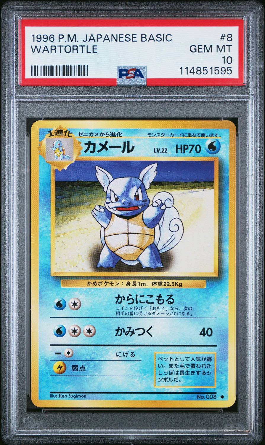 Wartortle