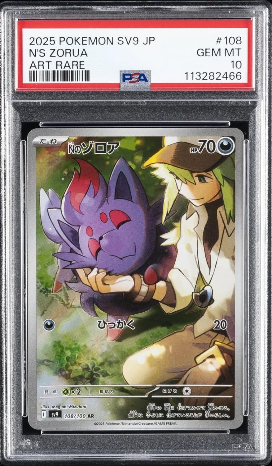 N'S Zorua