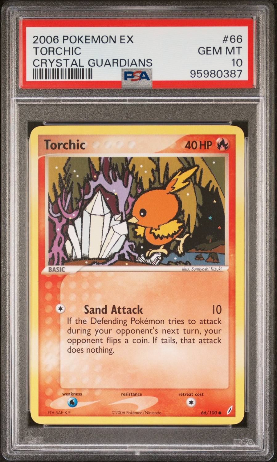 Torchic