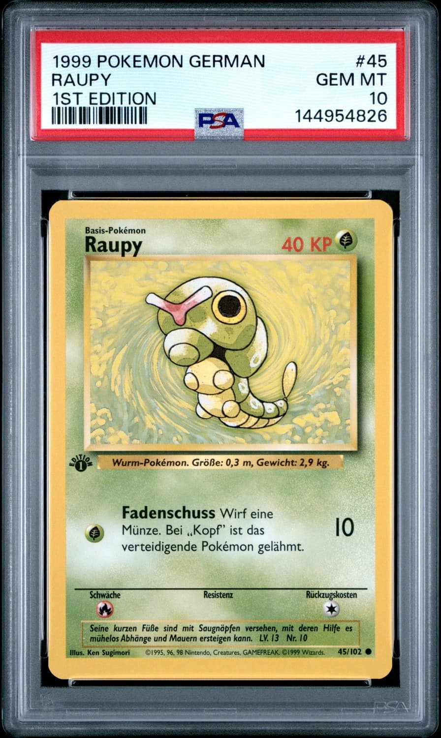 Raupy