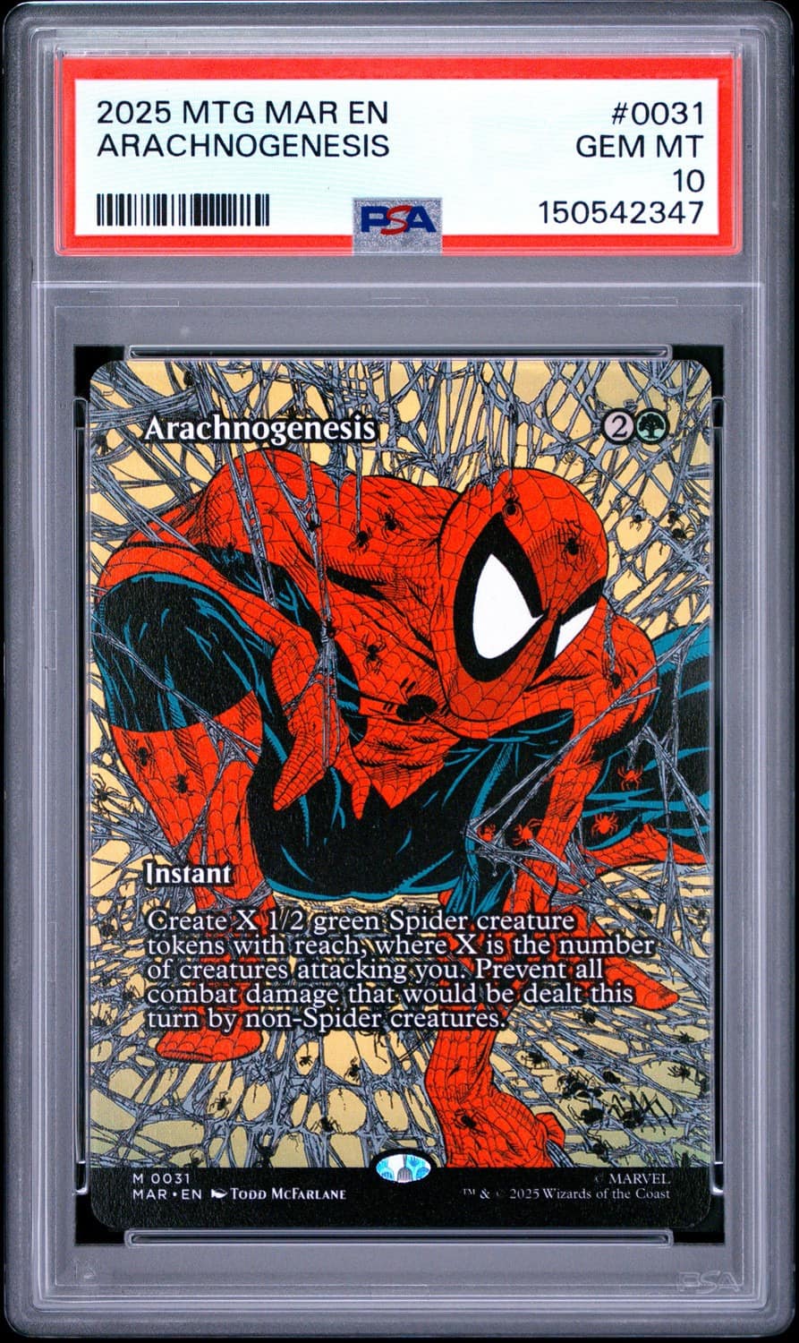 Arachnogenesis