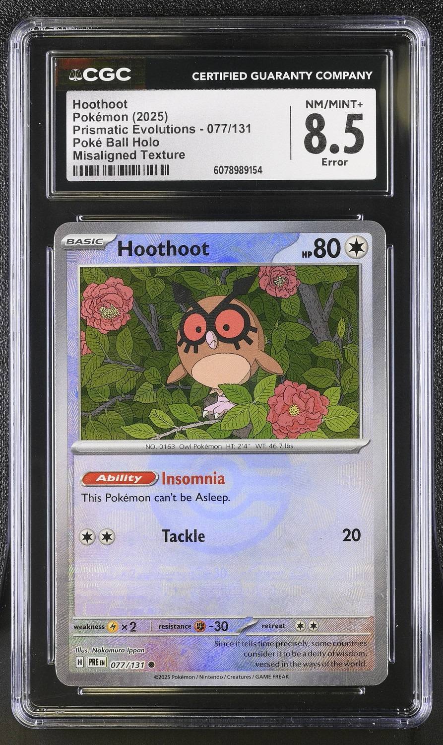 Hoothoot