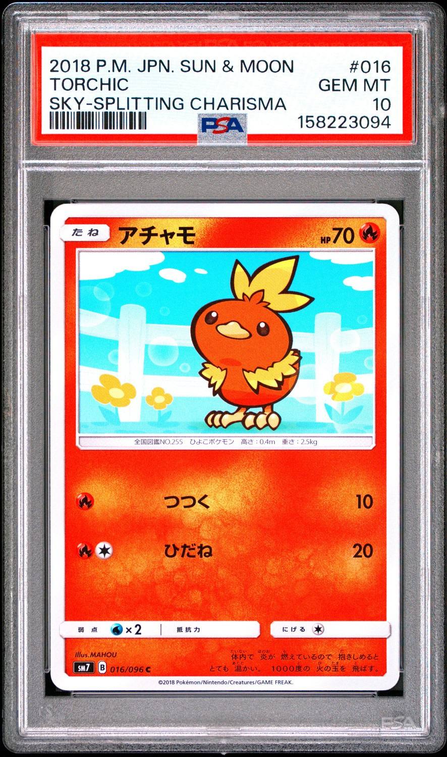 Torchic