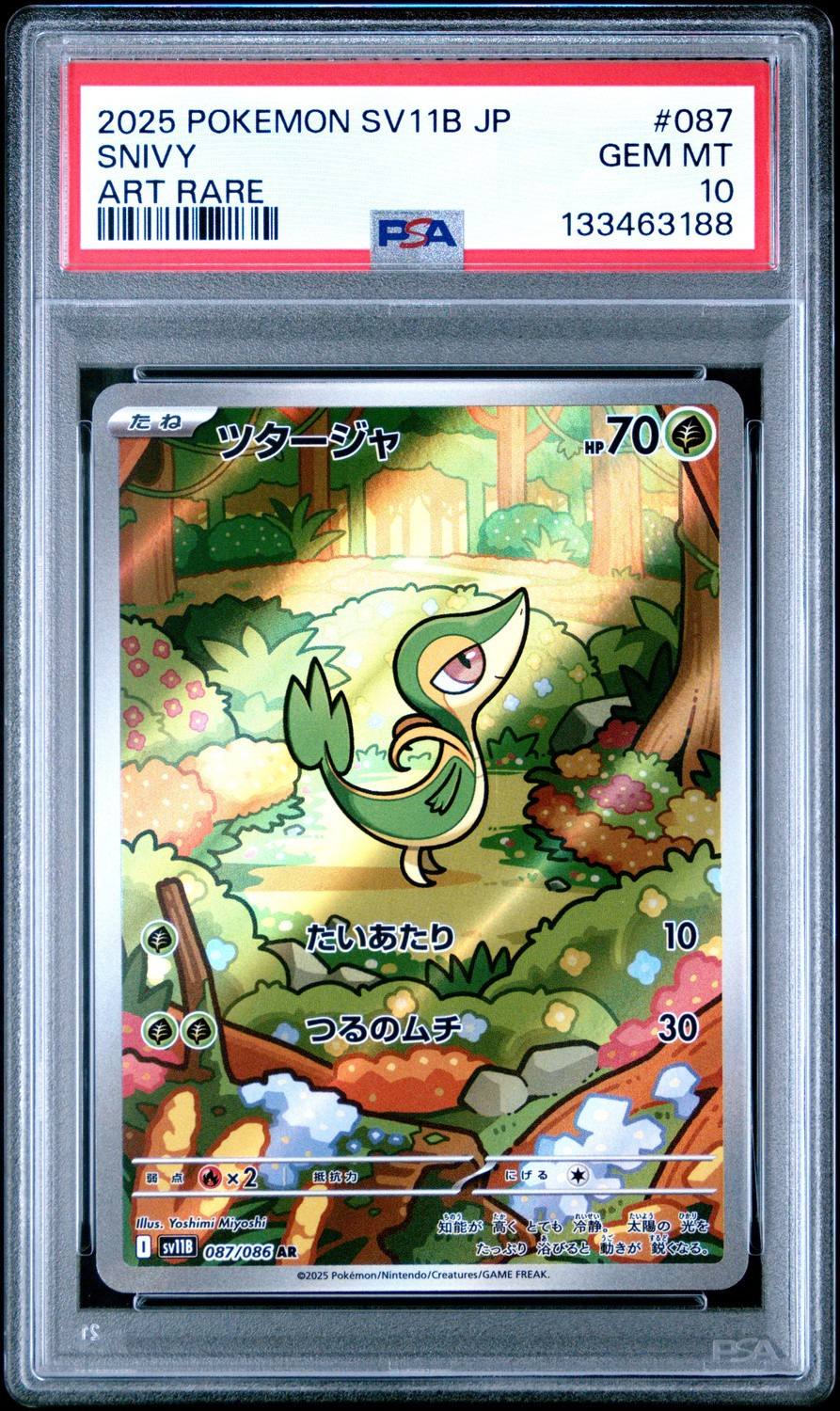 Snivy