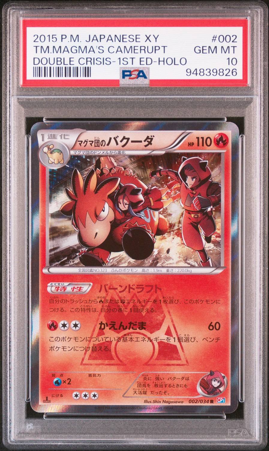 Team Magma'S Camerupt