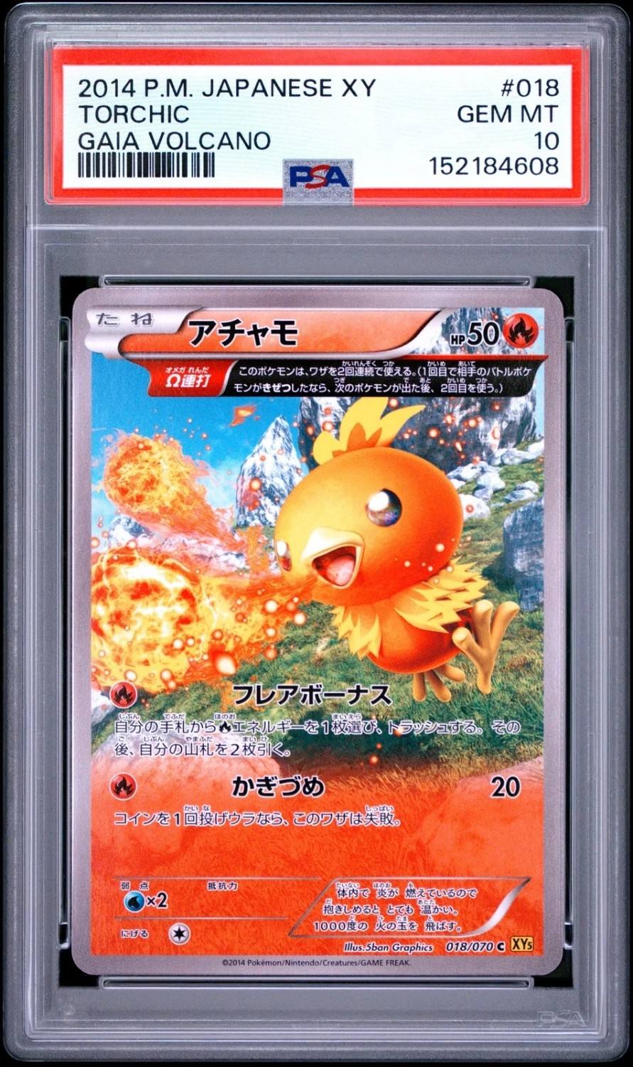 Torchic