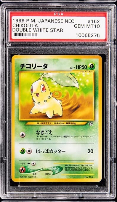 Chikorita