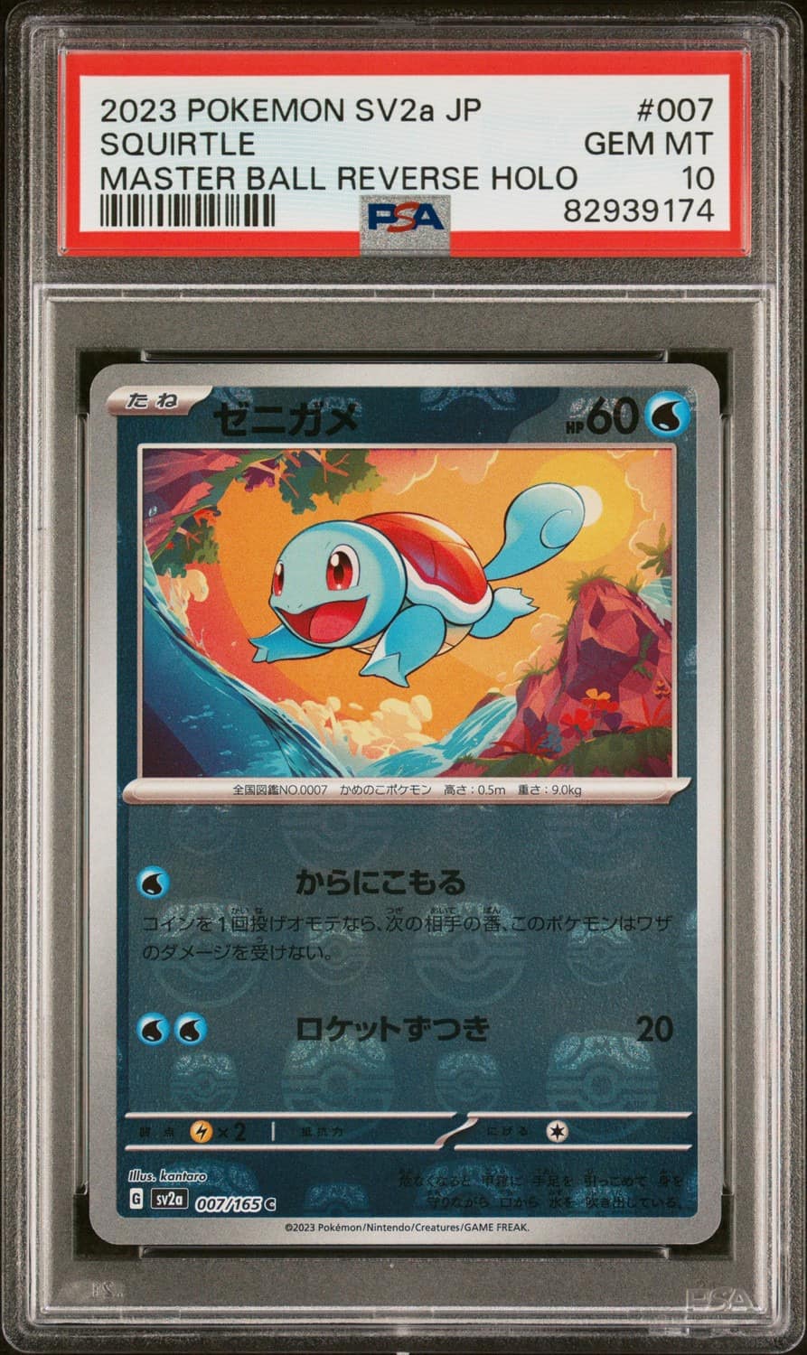 Squirtle