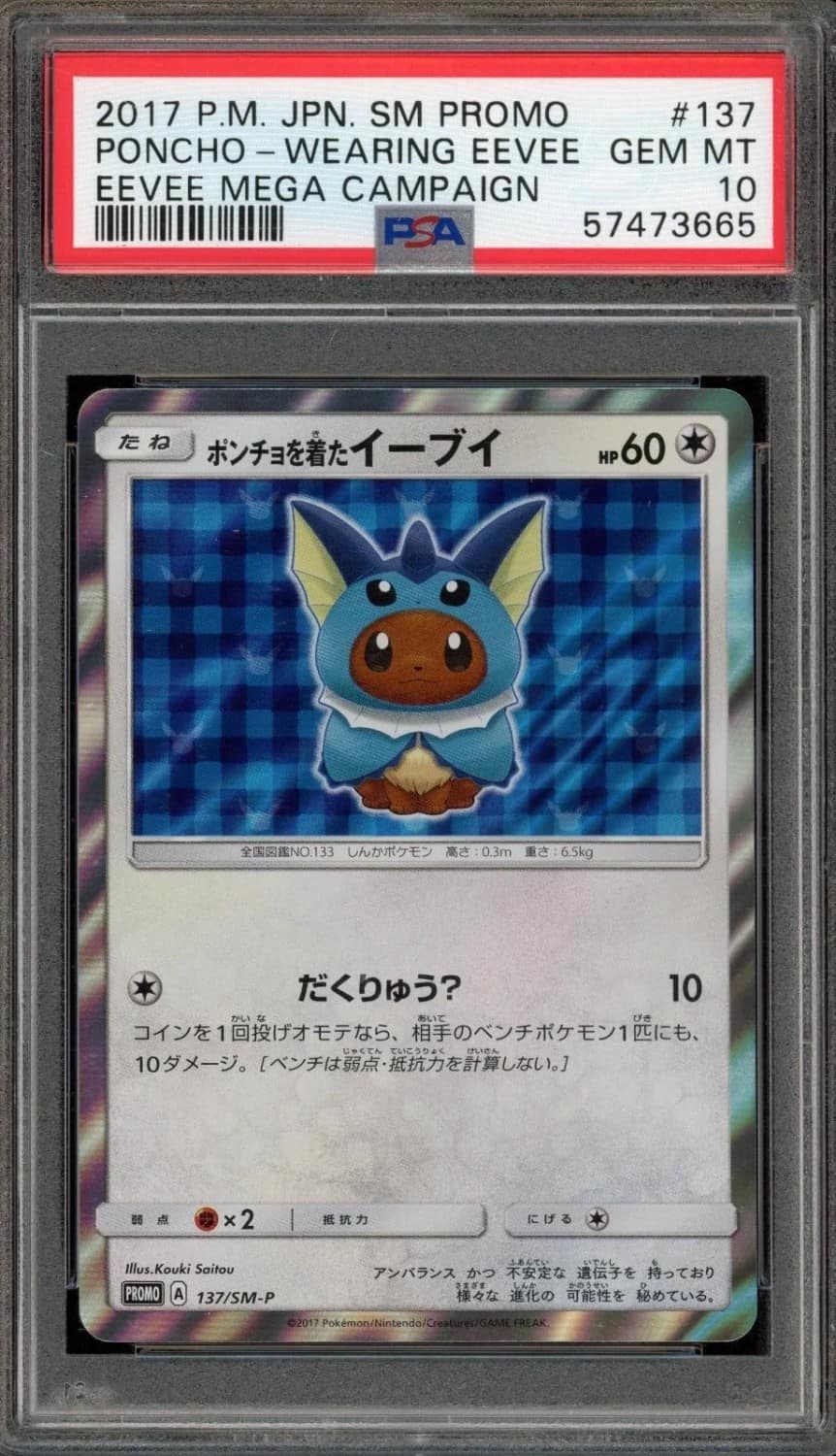 Poncho-Wearing Eevee