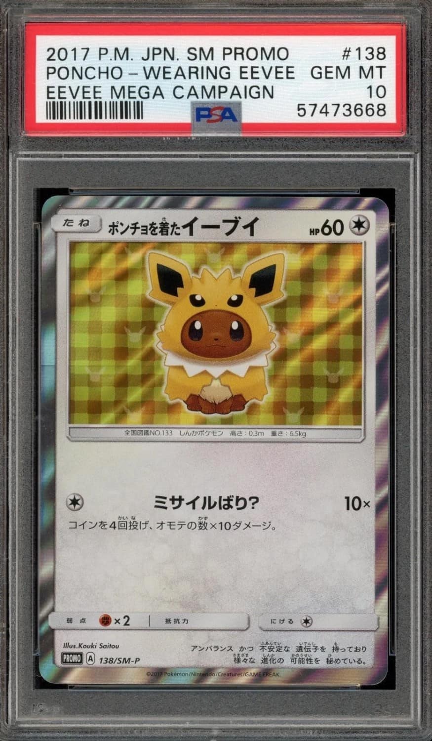 Poncho-Wearing Eevee