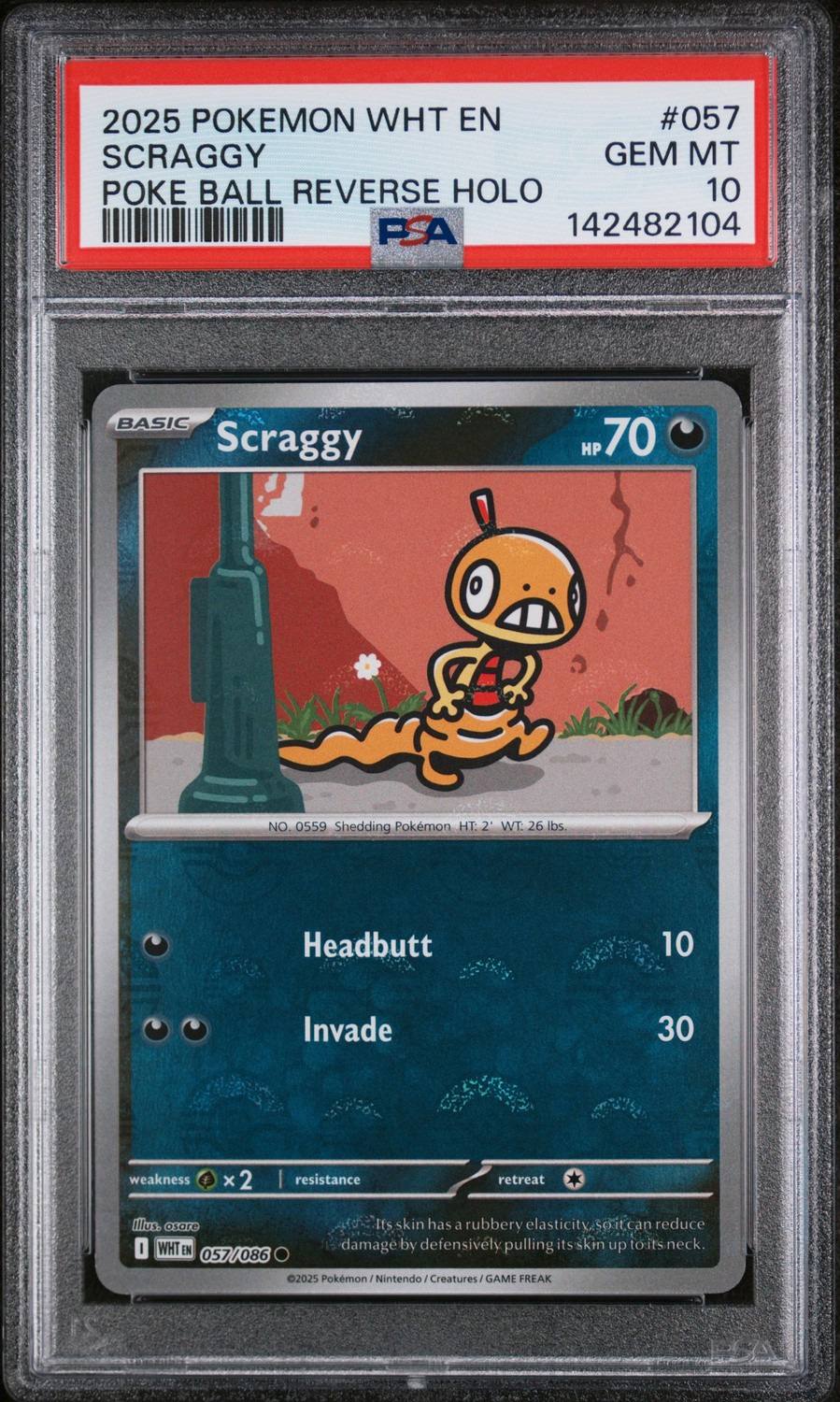 Scraggy