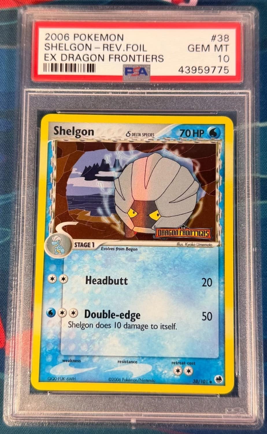 Shelgon δ