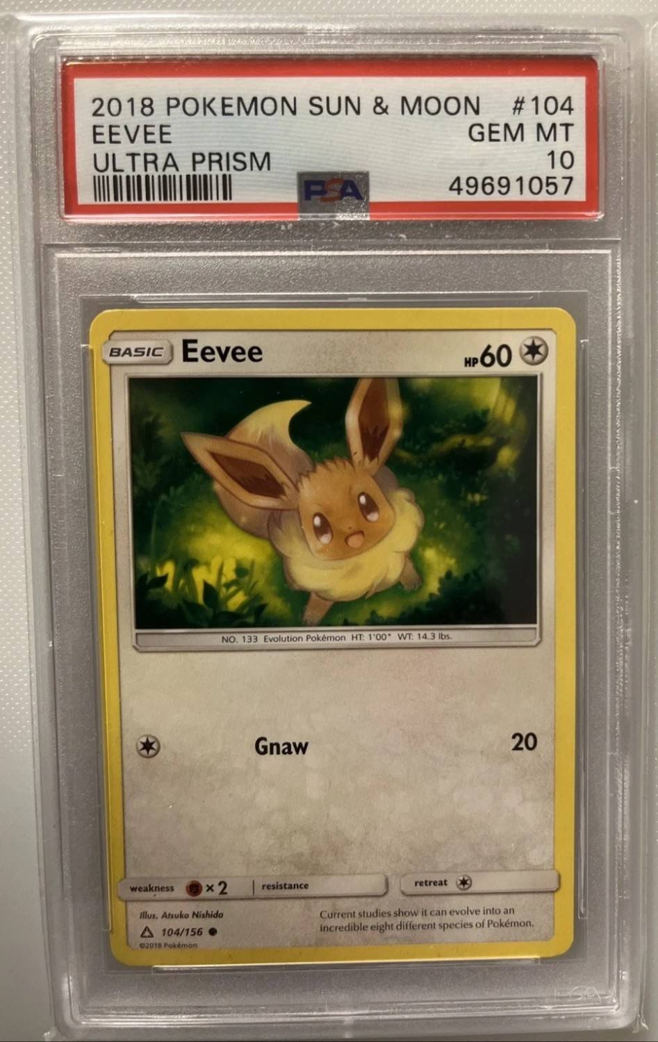 Eevee